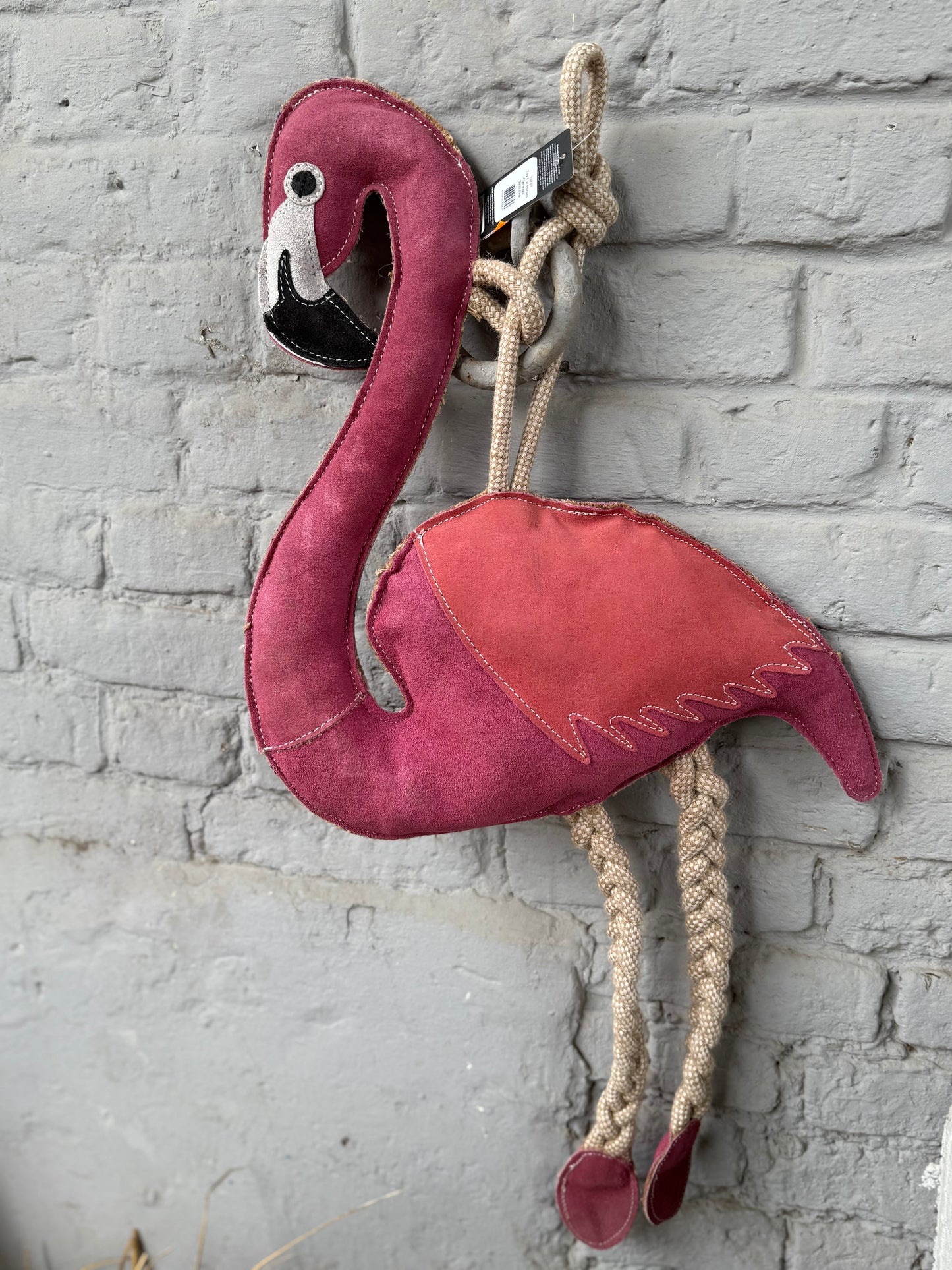 Flamant rose