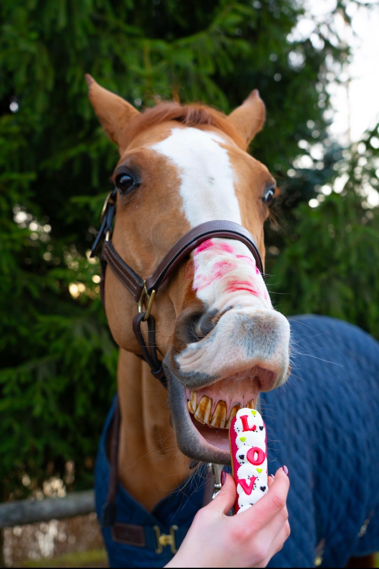 Éclair collection love 💘