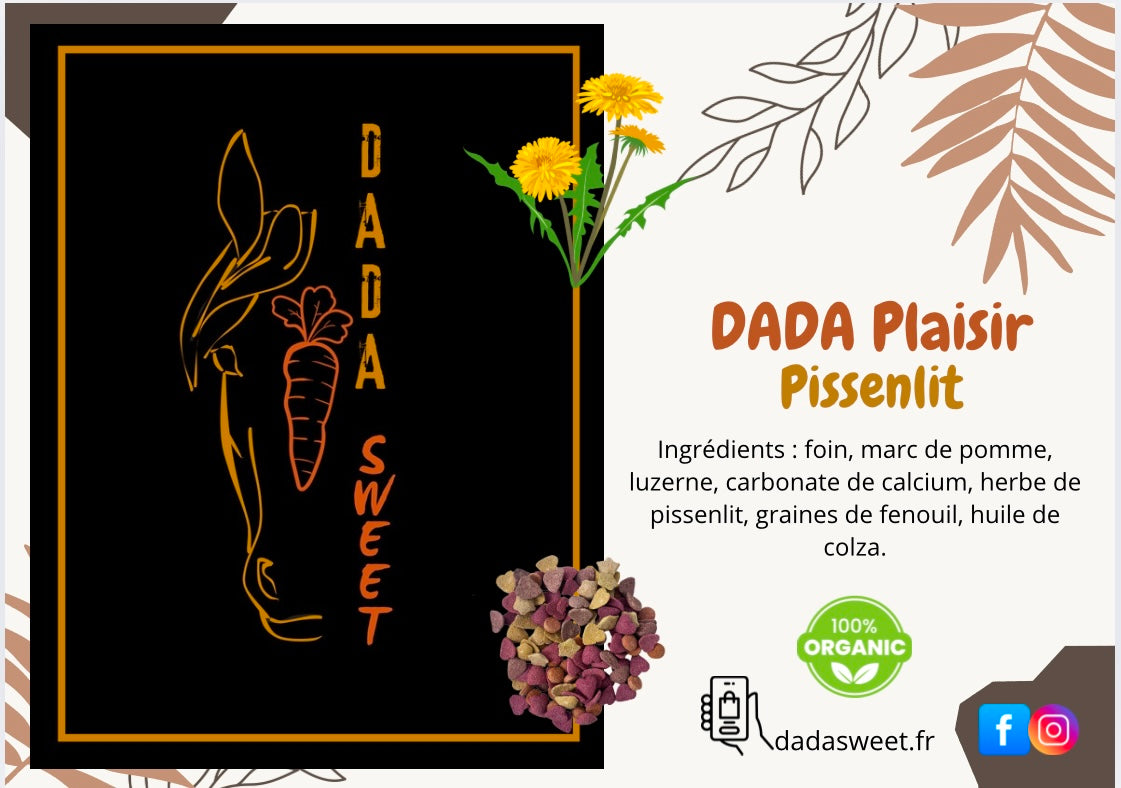 Dada Plaisir Pissenlit 1L