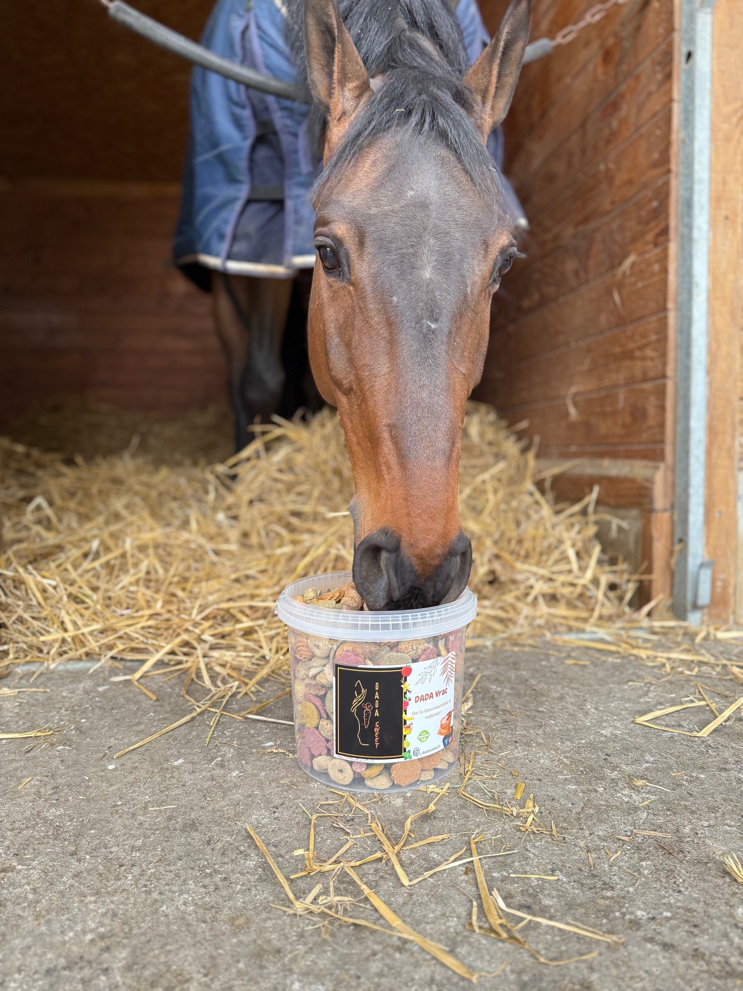 Dada plaisir 3 L surprise