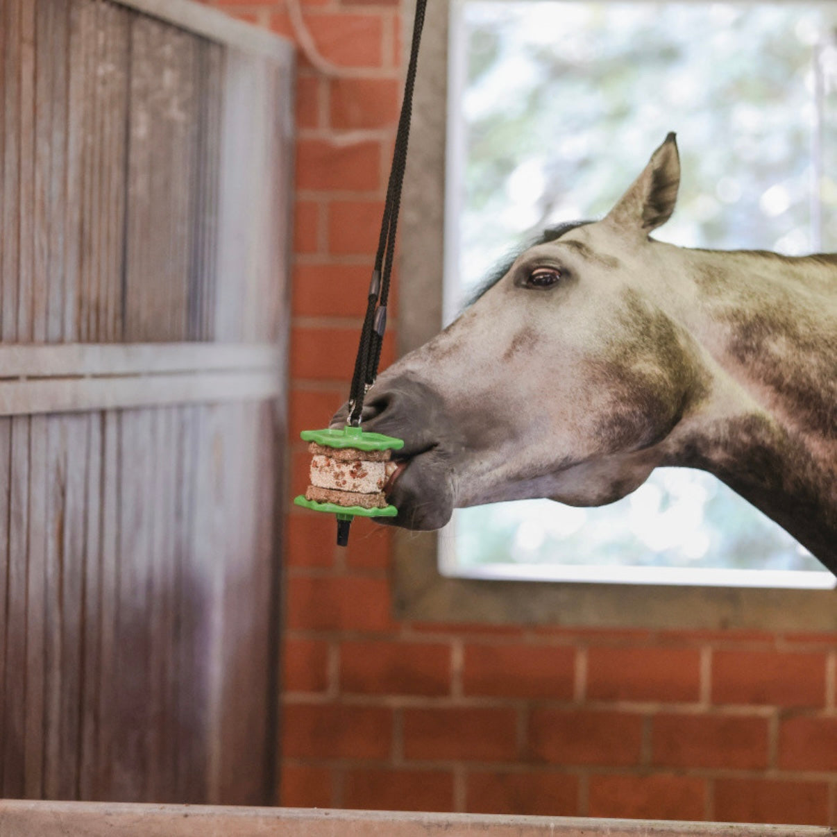 Sandwich à lécher Banane