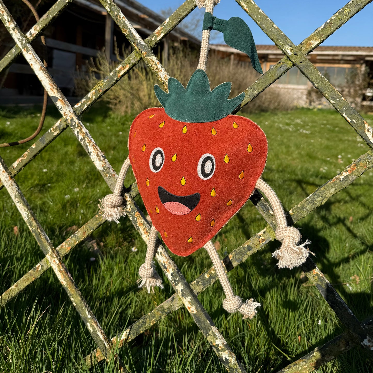 Jouet Fraise