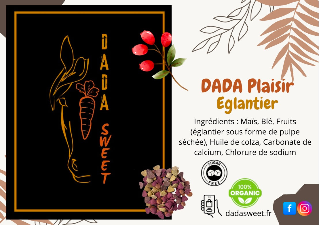 Friandise soufflée églantier 1L