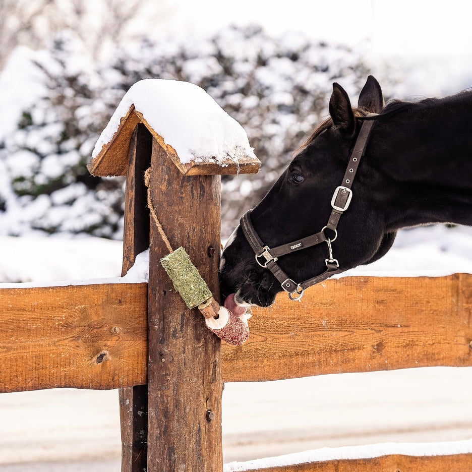 Jouet en bois + block respiration