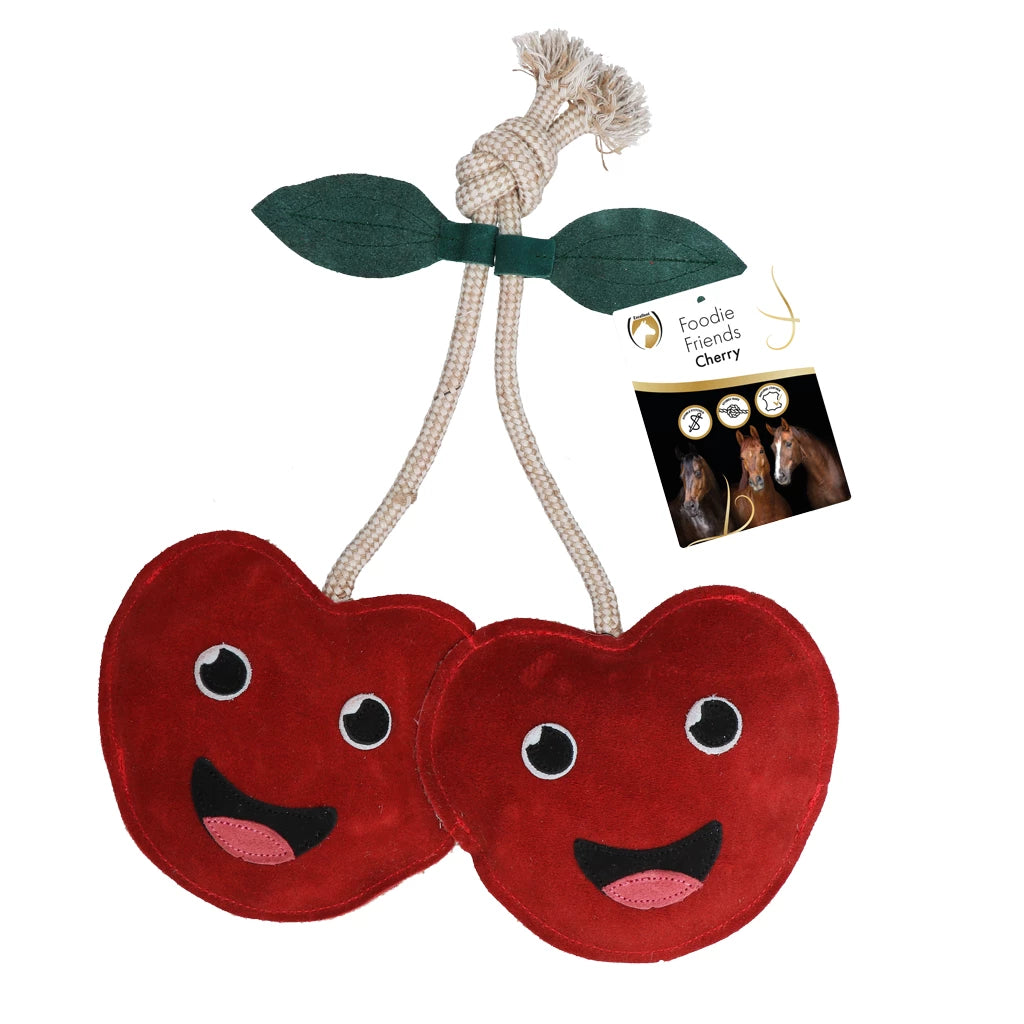 Jouet Cerises