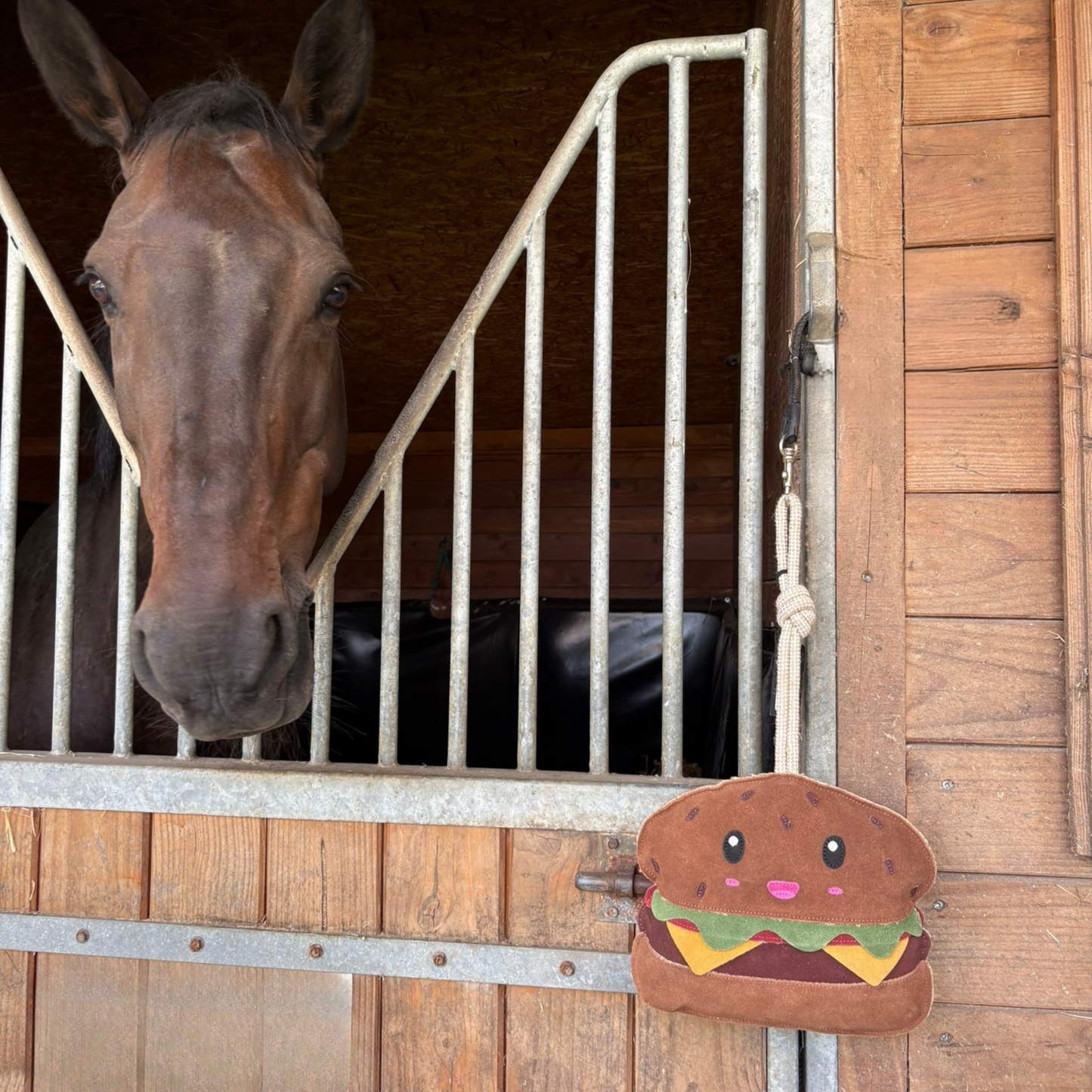 Jouet Burger