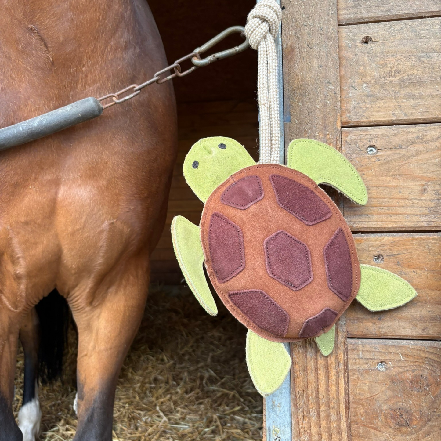 Jouet tortue