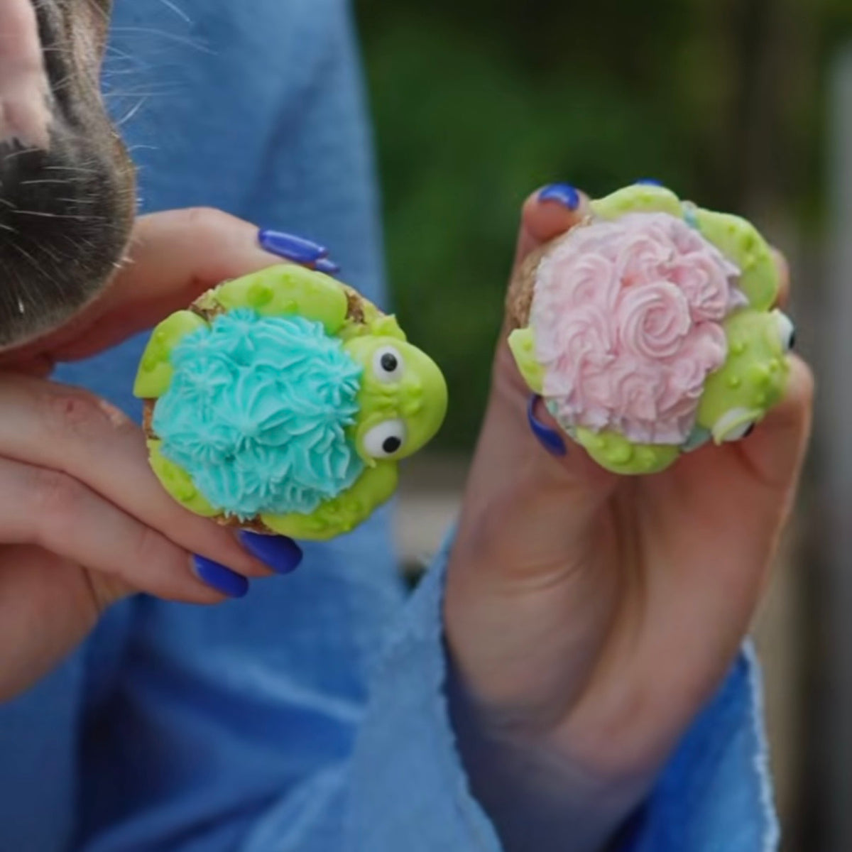 Cupcake collection de la mer