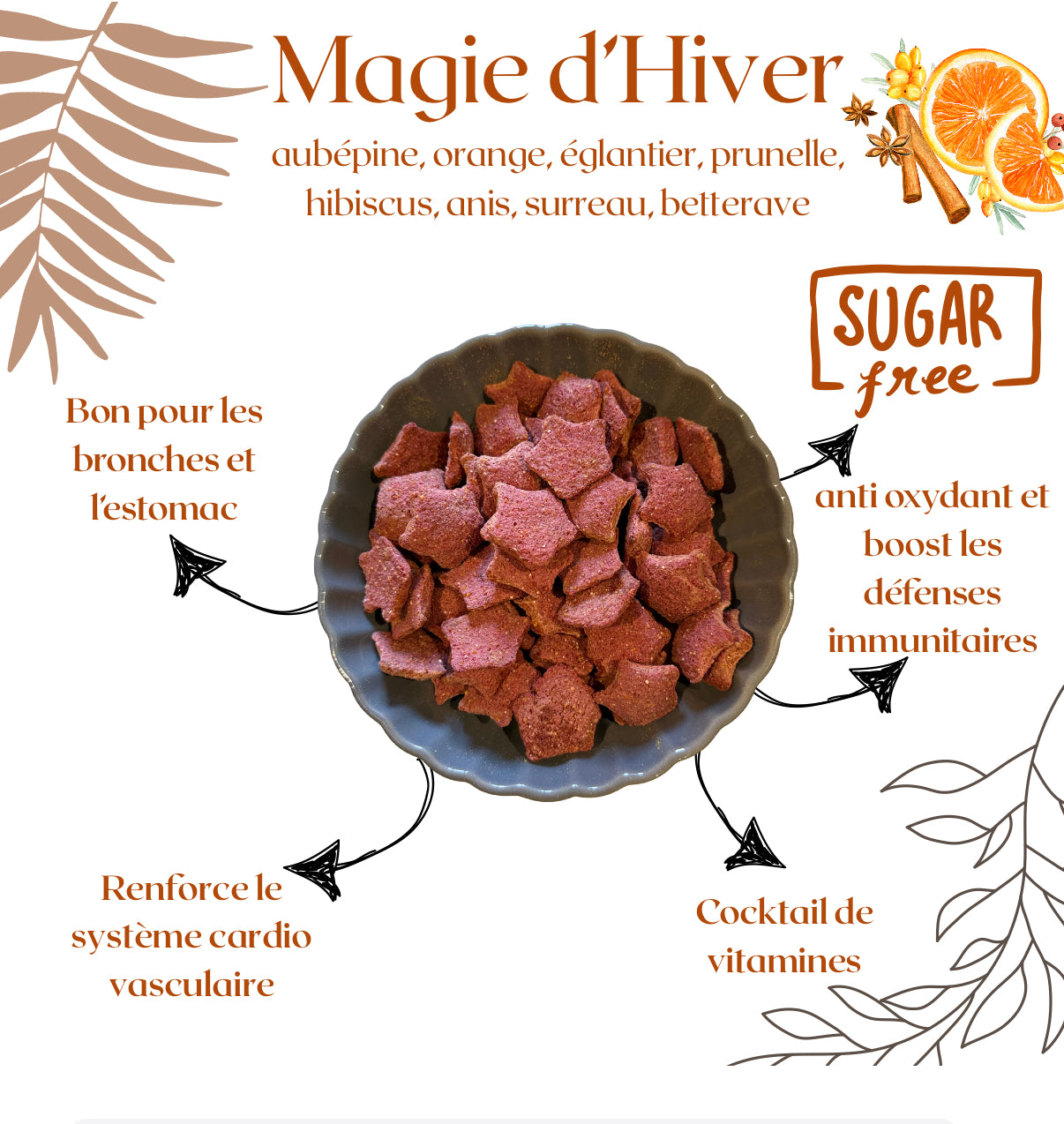 Dada plaisir Magie d’hiver