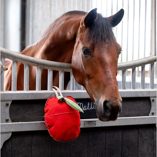 Jouet pomme géante