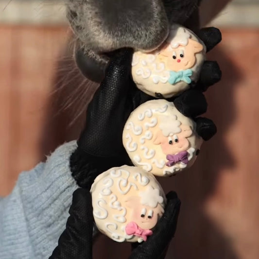 Donuts mouton