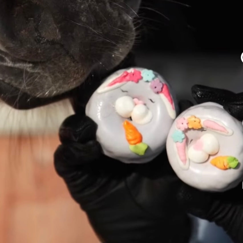 Donuts lapin