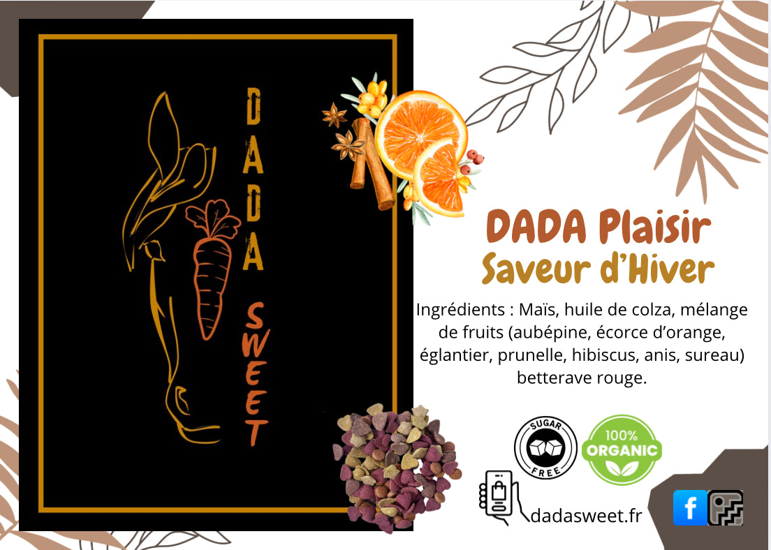 Dada plaisir Magie d’hiver