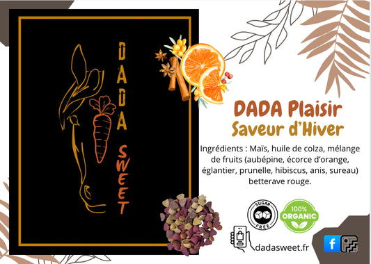 Dada plaisir Magie d’hiver