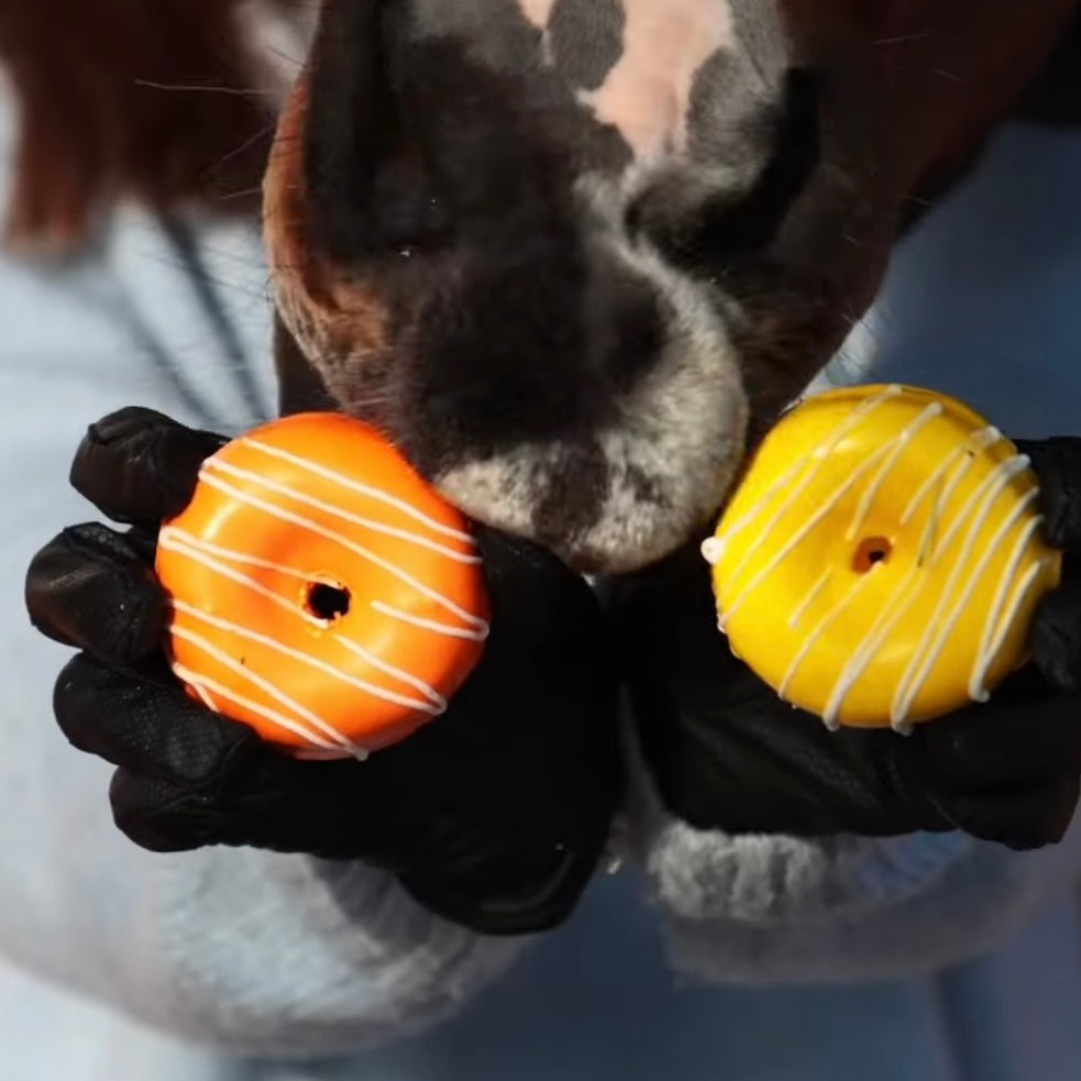 Donuts colorés