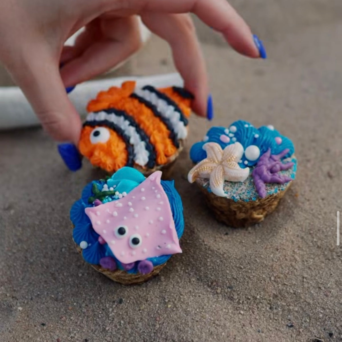 Cupcake collection de la mer