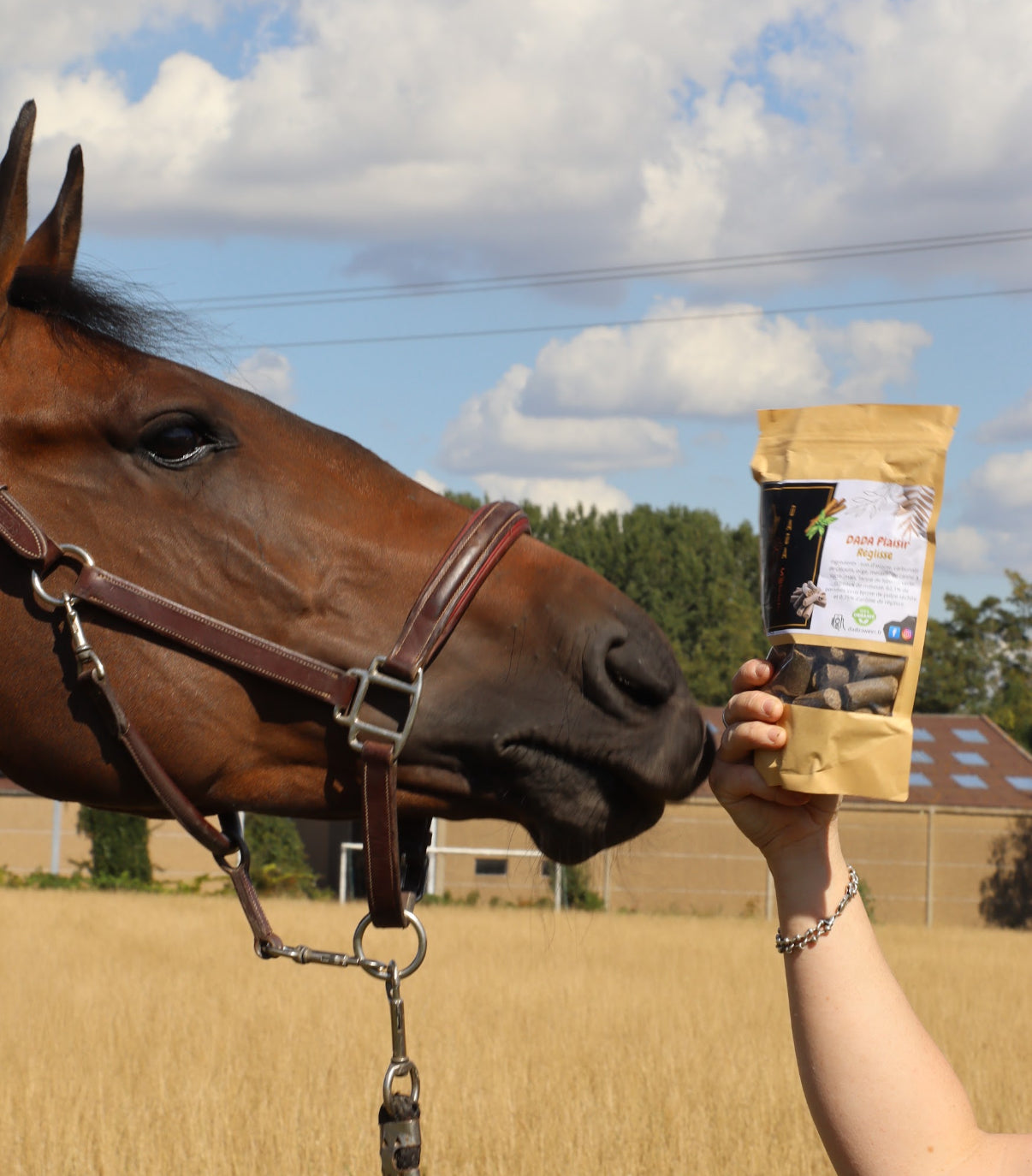 Friandises au Lin 1L