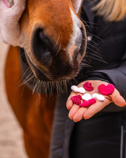 Meringues collection love 💘