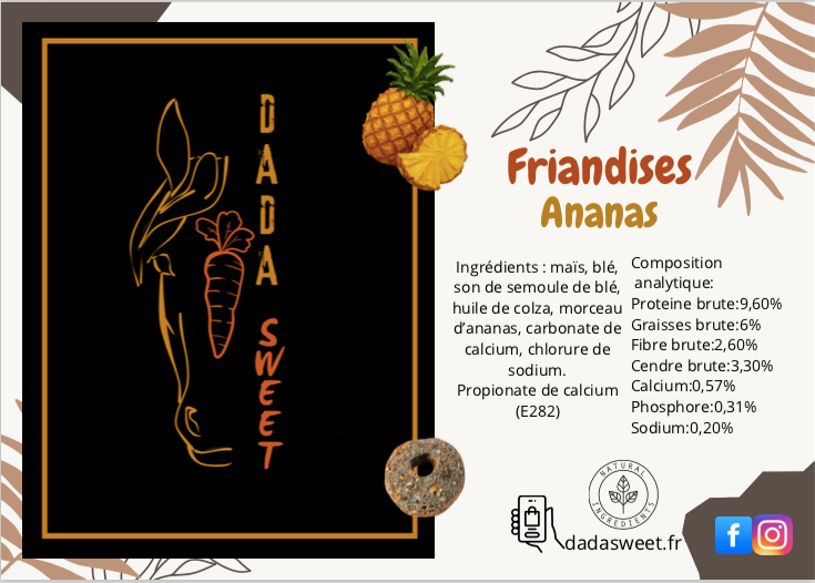 Friandises Ananas 1L