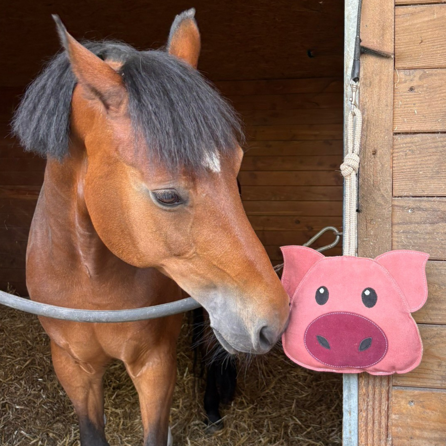 Jouet cochon