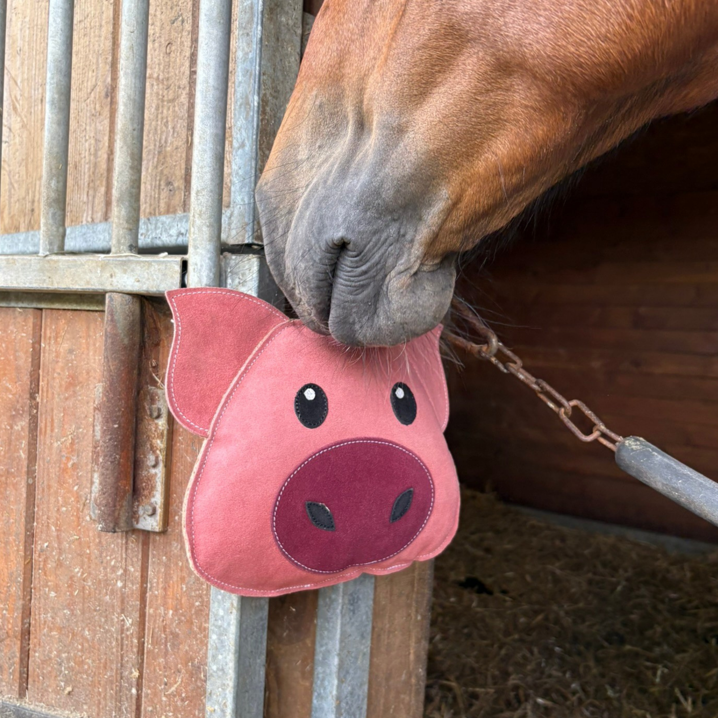 Jouet cochon