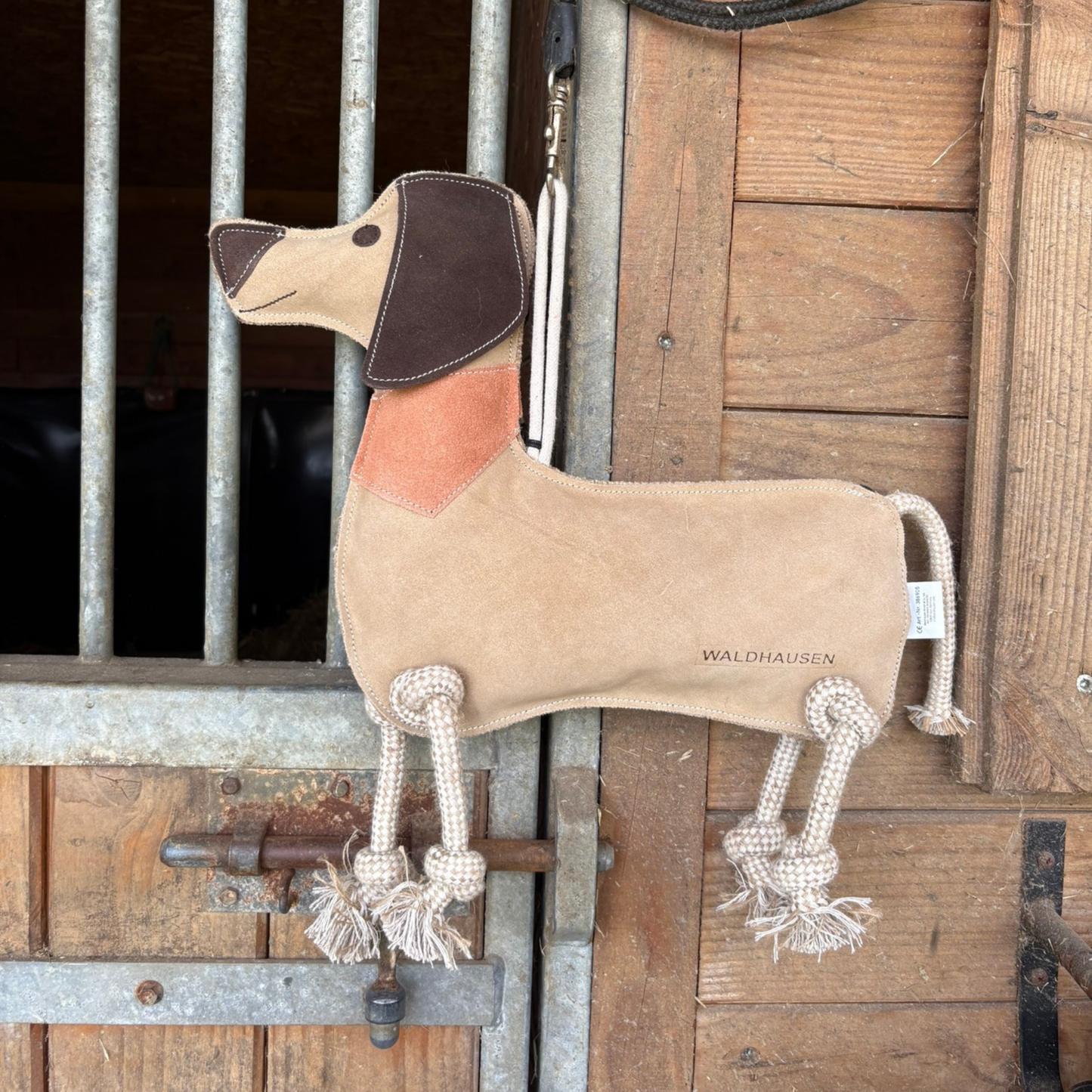 Jouet chien