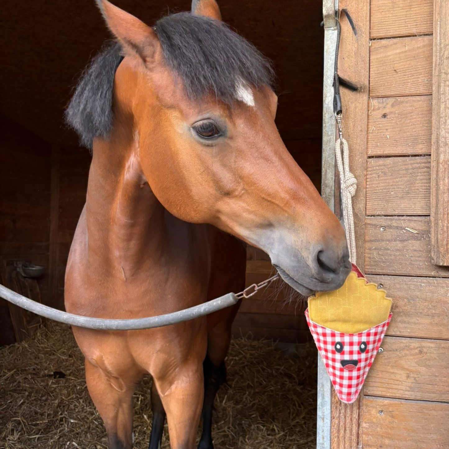 Jouet cornet de frittes