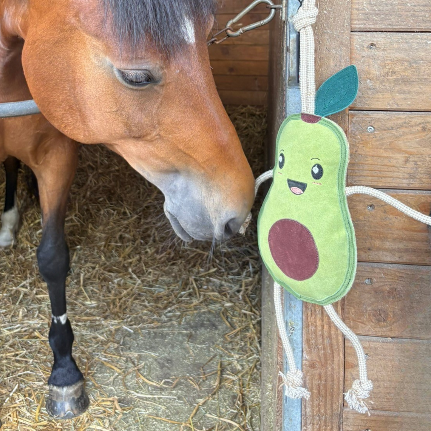 Jouet avocat