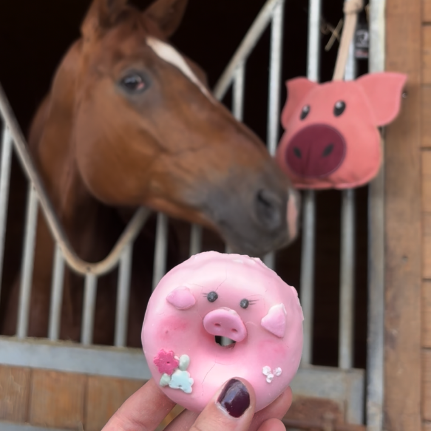 Donuts ferme x1