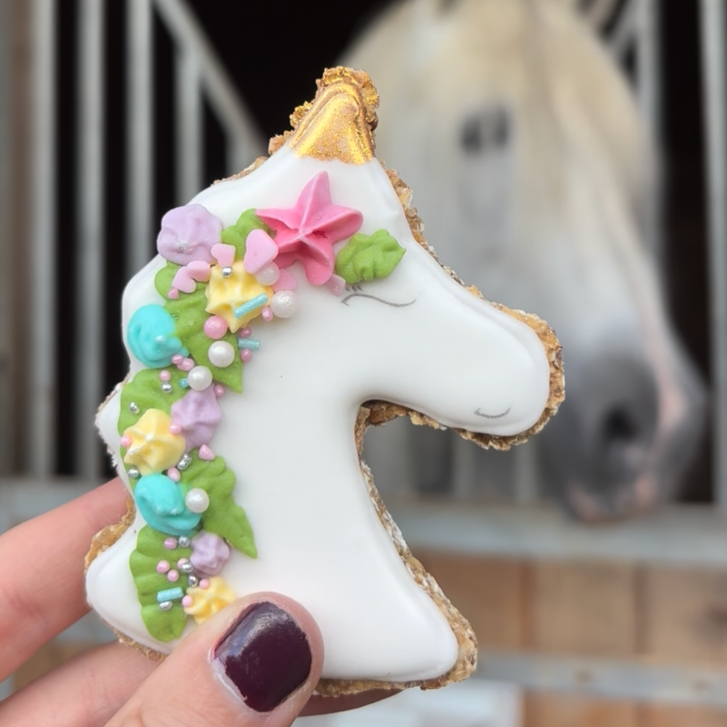 Biscuit licorne