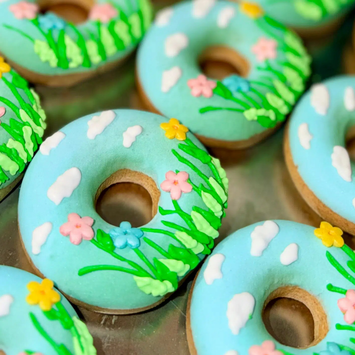 Donuts collection rainbow