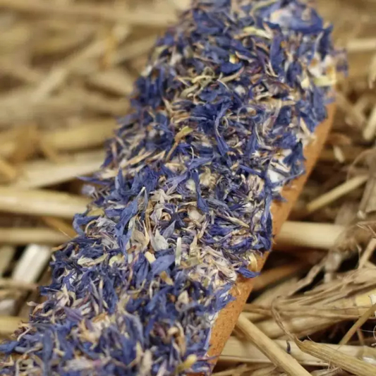 Éclair au bleuet